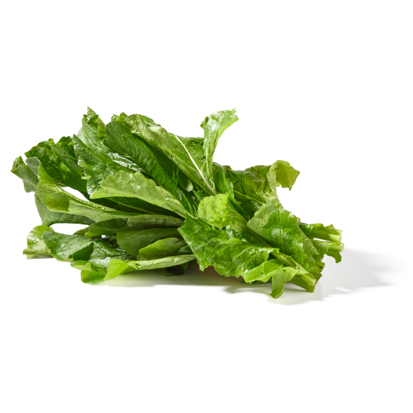 Fresh Turnip Greens Bunch, Each