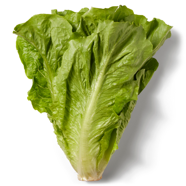 Fresh Romaine Lettuce, Each